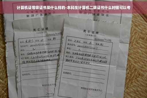 计算机证等级证书是什么样的-本科生计算机二级证书什么时候可以考