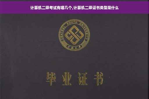 计算机二级考试有哪几个,计算机二级证书类型是什么