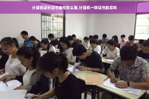 计算机证书证书编号怎么查,计算机一级证书能买吗