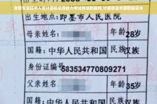 全国专业技术人员计算机应用能力考试就是职称吗,计算机证书算职称证书