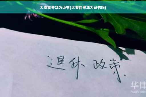 大专能考华为证书(大专能考华为证书吗)