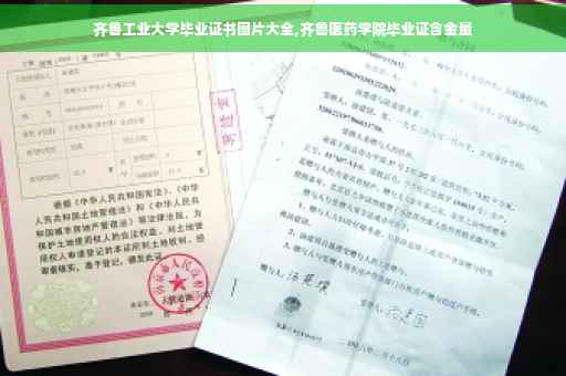 齐鲁工业大学毕业证书图片大全,齐鲁医药学院毕业证含金量