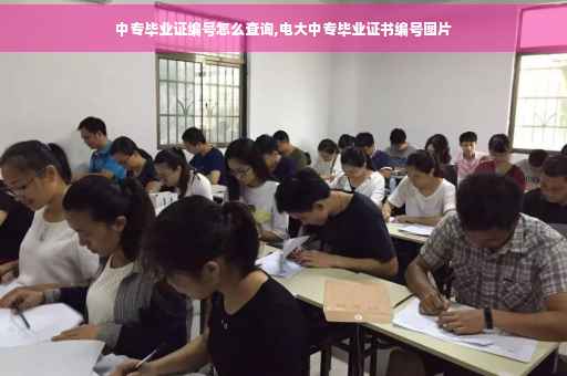 中专毕业证编号怎么查询,电大中专毕业证书编号图片
