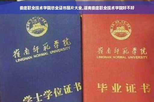 娄底职业技术学院毕业证书图片大全,湖南娄底职业技术学院好不好