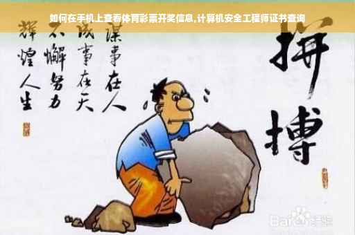 如何在手机上查看体育彩票开奖信息,计算机安全工程师证书查询