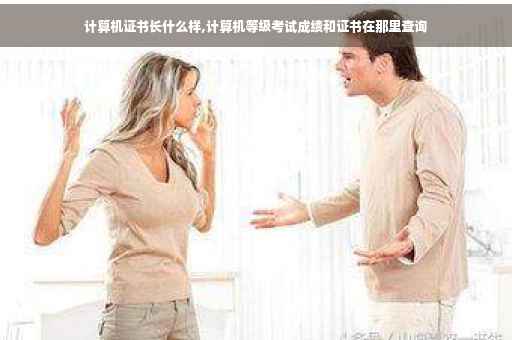 计算机证书长什么样,计算机等级考试成绩和证书在那里查询
