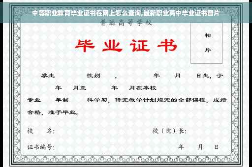 中等职业教育毕业证书在网上怎么查询,最新职业高中毕业证书图片