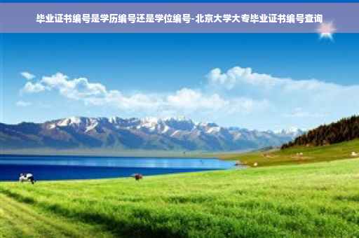 毕业证书编号是学历编号还是学位编号-北京大学大专毕业证书编号查询