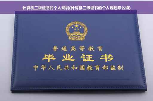 计算机二级证书的个人规划(计算机二级证书的个人规划怎么填)