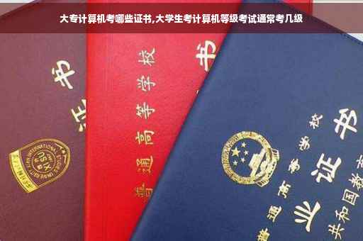 大专计算机考哪些证书,大学生考计算机等级考试通常考几级