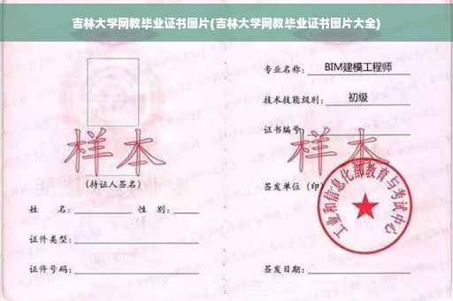 吉林大学网教毕业证书图片(吉林大学网教毕业证书图片大全)