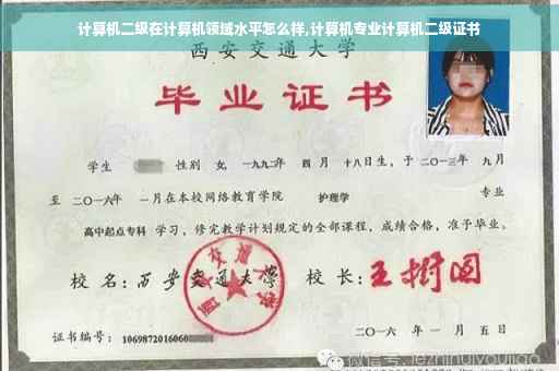 计算机二级在计算机领域水平怎么样,计算机专业计算机二级证书