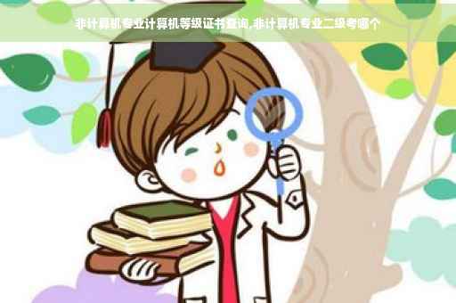 非计算机专业计算机等级证书查询,非计算机专业二级考哪个