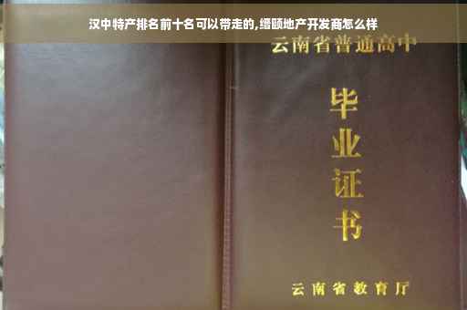 汉中特产排名前十名可以带走的,缙颐地产开发商怎么样