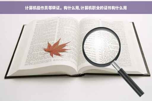 计算机操作员等级证。有什么用,计算机职业的证书有什么用