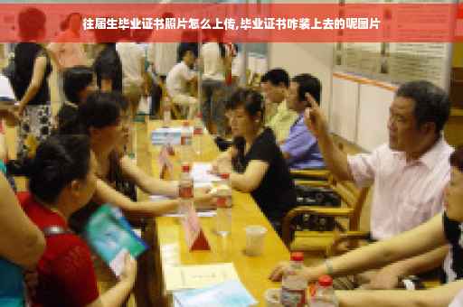 往届生毕业证书照片怎么上传,毕业证书咋装上去的呢图片