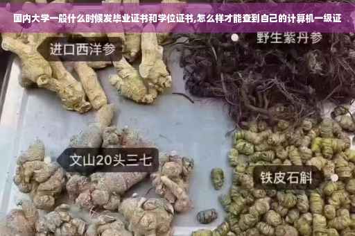 国内大学一般什么时候发毕业证书和学位证书,怎么样才能查到自己的计算机一级证