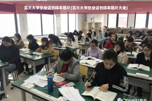 苏大大学毕业证书样本图片(苏大大学毕业证书样本图片大全)