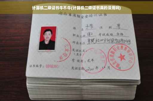 计算机二级证书牛不牛(计算机二级证书真的没用吗)