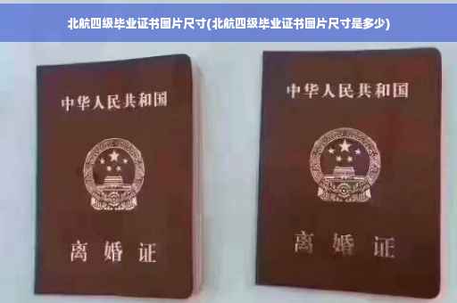 北航四级毕业证书图片尺寸(北航四级毕业证书图片尺寸是多少)