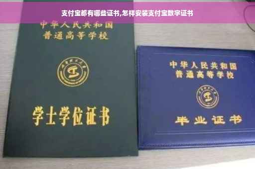 支付宝都有哪些证书,怎样安装支付宝数字证书