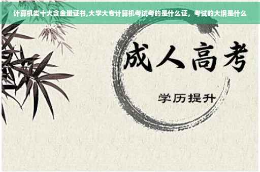 计算机类十大含金量证书,大学大专计算机考试考的是什么证，考试的大纲是什么