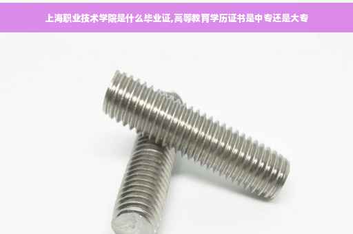 上海职业技术学院是什么毕业证,高等教育学历证书是中专还是大专