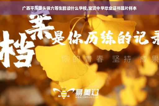 广西平乐源头镇六等生能读什么学校,宝贤中学毕业证书图片样本