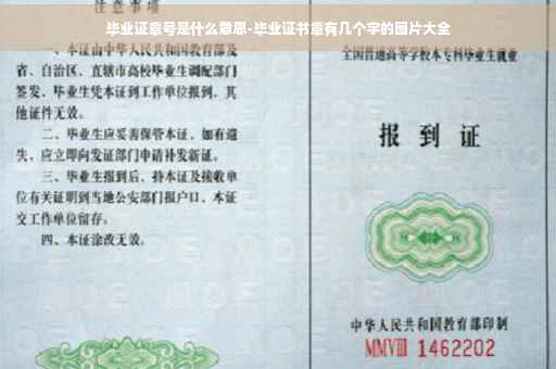 毕业证章号是什么意思-毕业证书章有几个字的图片大全
