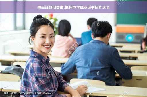 桩基证如何查询,彬州中学毕业证书图片大全