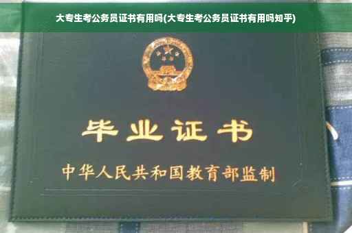 大专生考公务员证书有用吗(大专生考公务员证书有用吗知乎)