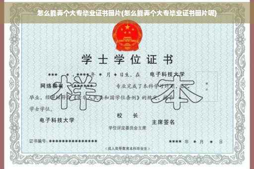 怎么能弄个大专毕业证书图片(怎么能弄个大专毕业证书图片呢) 怎么能弄个大专毕业证书图片(怎么能弄个大专毕业证书图片呢)