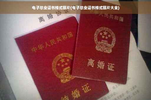 电子毕业证书格式图片(电子毕业证书格式图片大全)