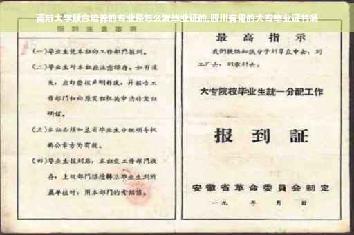 两所大学联合培养的专业是怎么发毕业证的,四川有用的大专毕业证书吗