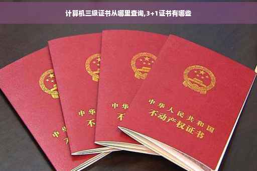 计算机三级证书从哪里查询,3+1证书有哪些