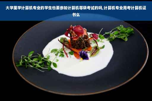 大学里学计算机专业的学生也要参加计算机等级考试的吗,计算机专业用考计算机证书么