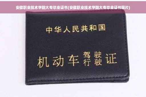 安徽职业技术学院大专毕业证书(安徽职业技术学院大专毕业证书图片)