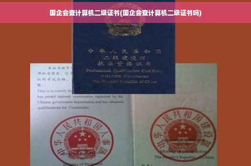 国企会查计算机二级证书(国企会查计算机二级证书吗)