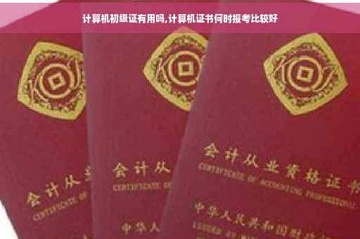 计算机初级证有用吗,计算机证书何时报考比较好