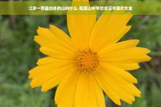 江浙一带最出名的山叫什么-凤阳山中学毕业证书图片大全