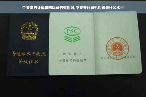 中专发的计算机四级证书有用吗,中专考计算机四级是什么水平