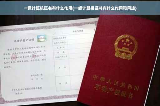 一级计算机证书有什么作用(一级计算机证书有什么作用和用途)