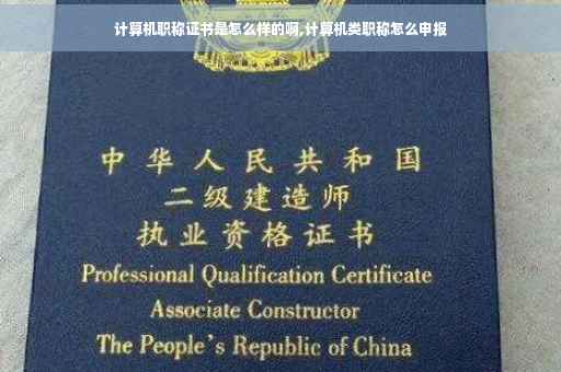 计算机职称证书是怎么样的啊,计算机类职称怎么申报