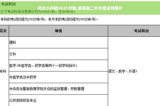河北小升初2021分数,临西县二中毕业证书图片