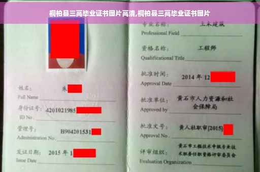 桐柏县三高毕业证书图片高清,桐柏县三高毕业证书图片