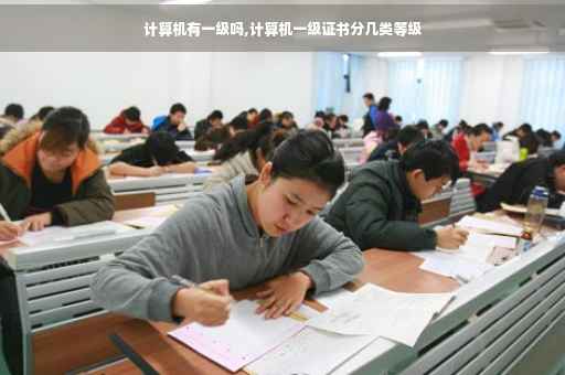 计算机有一级吗,计算机一级证书分几类等级