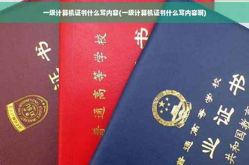 一级计算机证书什么写内容(一级计算机证书什么写内容啊)