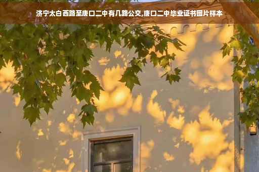 济宁太白西路至唐口二中有几路公交,唐口二中毕业证书图片样本
