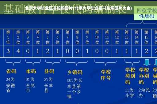 北京大学毕业证书拍照图片(北京大学毕业证书拍照图片大全)