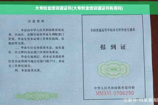 大专创业培训课证书(大专创业培训课证书有用吗)
